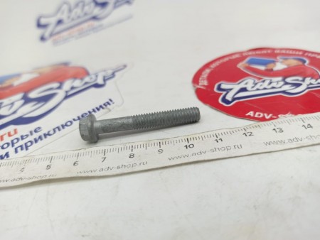 KTM HH collar screw M6x40 TX30 болт ( 0025060406 )