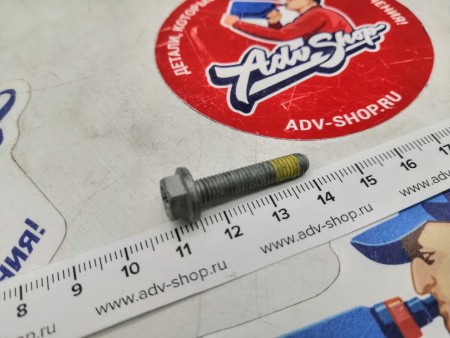 KTM HH collar screw M5x25 TX30 болт с фиксатором/ лапка КПП SX /EXC 17-> ( 0025050256S )