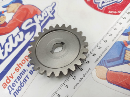 KTM OIL PUMP GEAR 24Z шестерня приводная маслонасоса 790 890 1090 1190 1290 1300 Adv SD 15-25 ( 60038001324 / 60038001224 )
