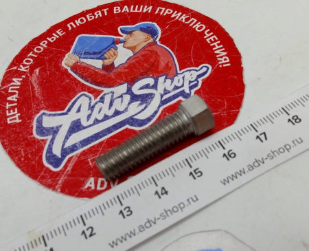 KTM SPECIAL SCREW M8X26 WS=10 болт регулировки лапки тормоза SX/EXC/1290 01-23 ( 59001037000 )