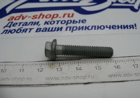 KTM HH collar screw M6x30 TX30 Болт ( 0025060306 / 0015060303 )