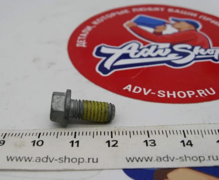 KTM SPECIAL SCREW M6X13 WS=8 10.9  Болт крепления тормозного диска  ( 59009062013 /  0015060120 )