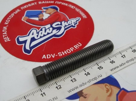 KTM screw M10x1.25x50 WS10 болт натяжителя приводной цепи EXC / 690 / HQV / HSB ( 50304040100 / 50304040000 )