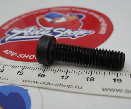 KTM AH SCREW DIN7984-M 8X30 10.9 Болт крепления постели распредвала LC8  ( 0984080305 )