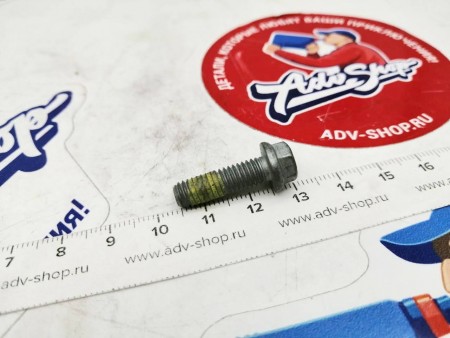KTM HH collar screw M6x20 TX30 Болт с фиксатором резьбы ( 0025060206 / 0025060206S / 0015060203 / H30662022 / H40622022 / 43570218 / 8000H4624 )