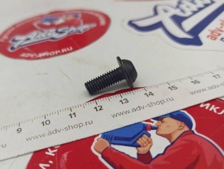 KTM SPECIAL SCREW M6X1X16 ( 90808043000 )