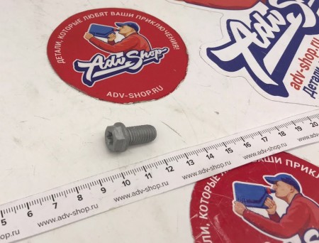 KTM HH COLLAR SCREW M8X16 TX40 Винт  ( 0025080166 / 0015080123 / 0015080163 )