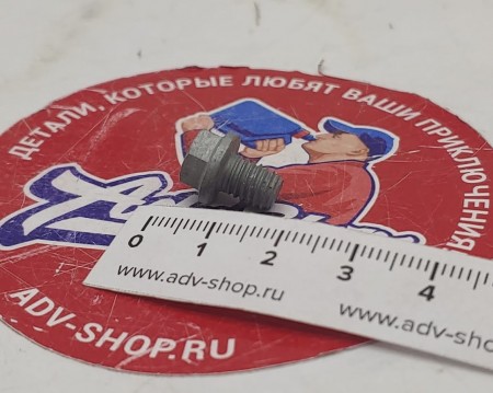 KTM HH collar screw M6x8 TX30 сливной болт помпы ( 0025060086 / 0015060083 )