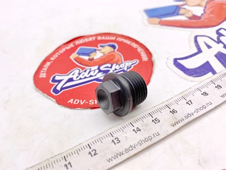 KTM SCREW PLUG M17 пробка маслофильтра 400 450 530 EXCF 08-11 ( 78038018000 )