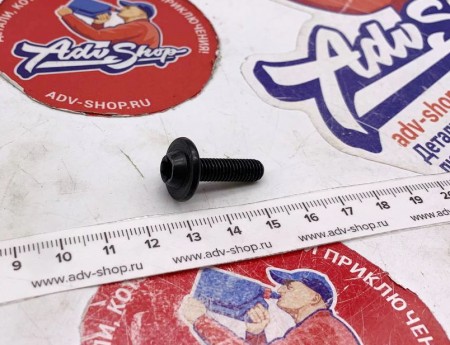 KTM Collar screw M6x22-8.8 ISA30 ( 69014117000 )