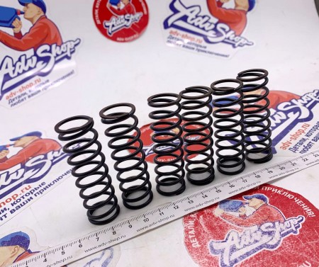 TRW MEF 313-6  CLUTCH SPRINGS усиленные пружины сцепления F800 GS / F700 GS // 10015911
