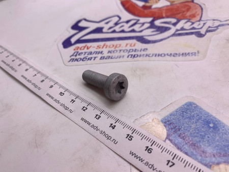 KTM AH-COLLAR SCREW M8X25 ISA45 болт ( 0035080256 )