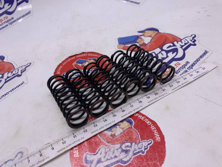 TRW MEF 313-6  CLUTCH SPRINGS усиленные пружины сцепления F800 GS / F700 GS // 10015911