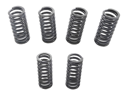 VESRAH SK 163 Комплект пружин сцепления VFR800