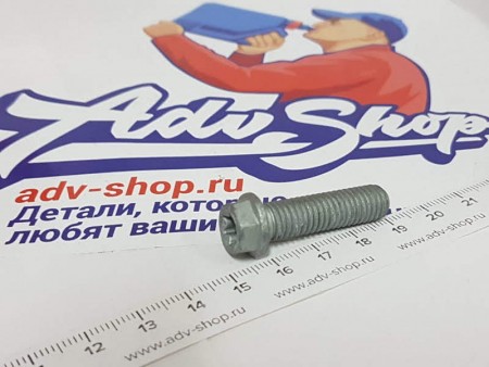 KTM HH COLLAR SCREW M8X30 TX40 Болт крепежный ( 0025080306 / 0015080303 / H40823022 / 0025080303 / 50600061 / 8000H7342 )