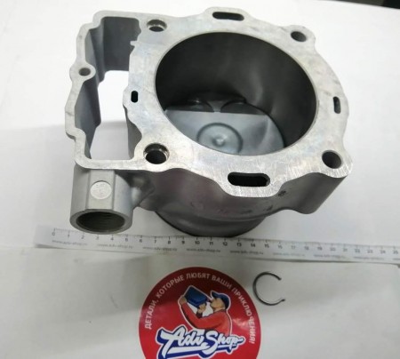 KTM CYLINDER AND PISTON KIT CPL. ( 78330038100 )