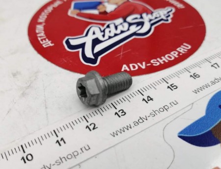 KTM HH collar screw M6x12 TX30  винт  ( 0025060126 / 0912060123 / 0015060123 / 0026060136 )